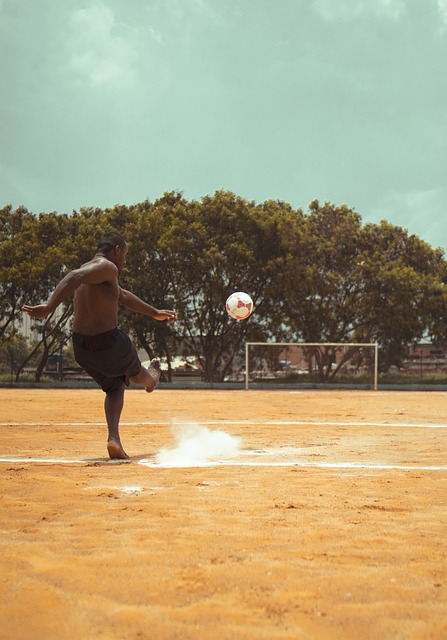 他的语言 他的语言