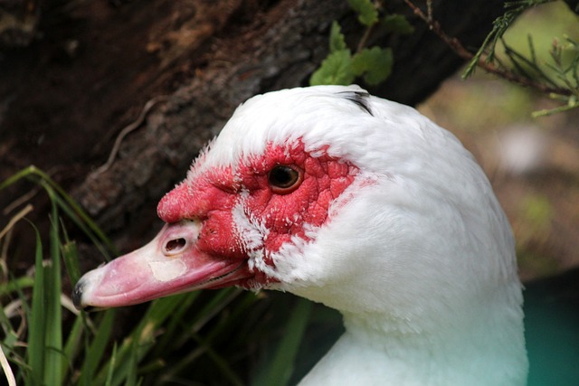 潜力是无法 潜力是无法