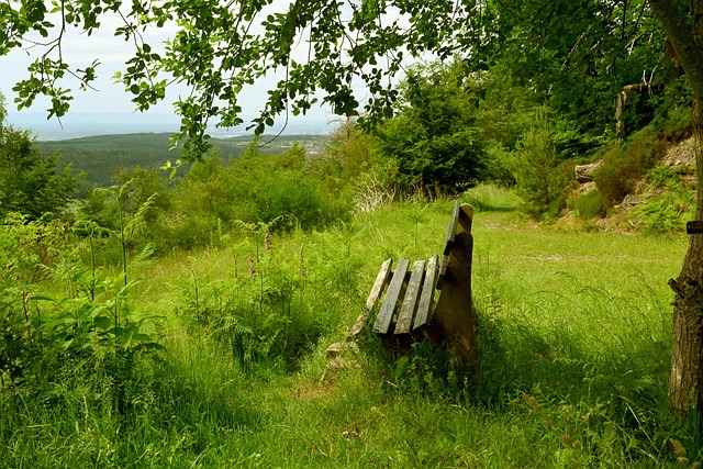 足球特色学 足球特色学